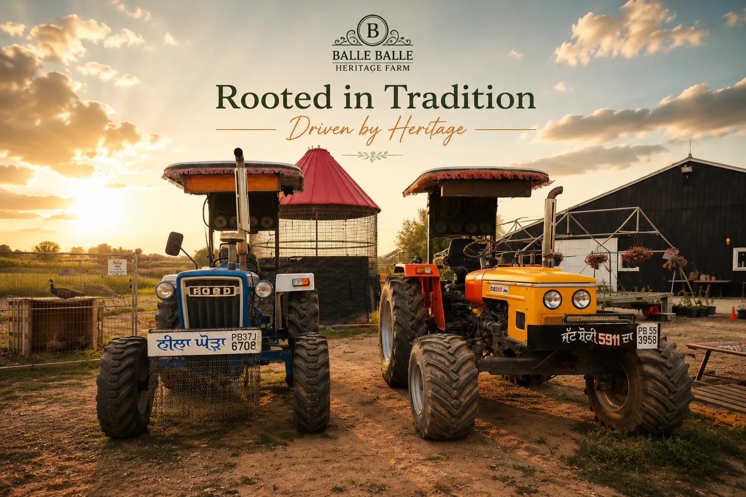 Heritage tractors at Balle Balle Heritage Farms at sunset
